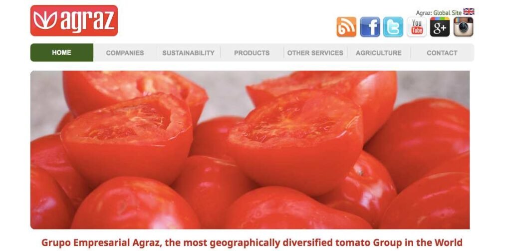 Top 10 Tomato Paste Suppliers in China-FUKANG