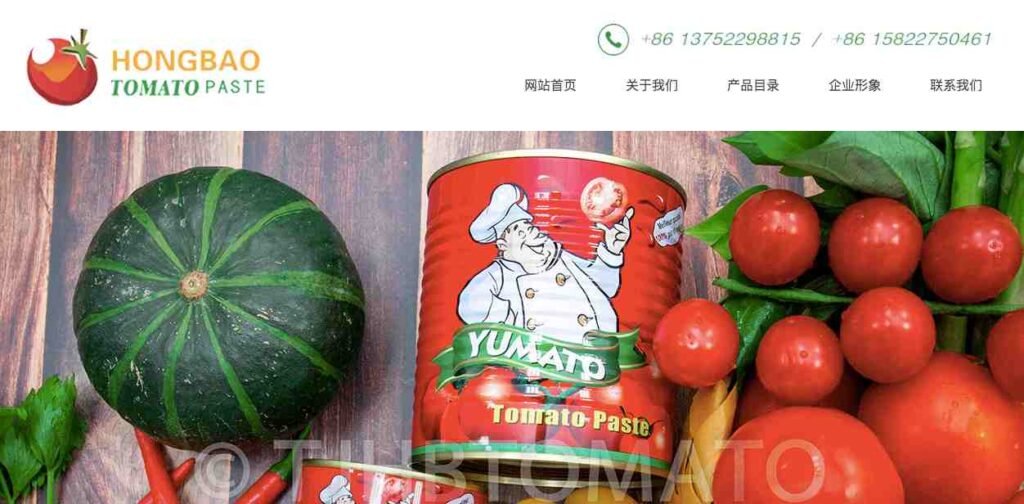 Top 10 Tomato Paste Suppliers in China-HONGBAO