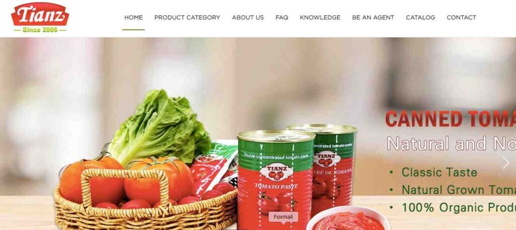 Top 10 Tomato Paste Suppliers in China -TIANZ