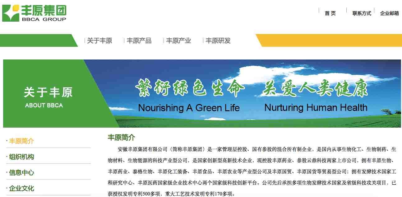 Top 10 Citric Acid Suppliers in China-BBCA